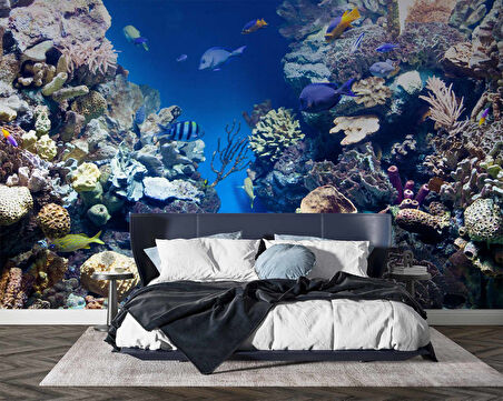 Denizaltı Mercan Manzaralı Duvar Kağıdı