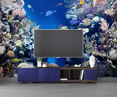 Denizaltı Mercan Manzaralı Duvar Kağıdı