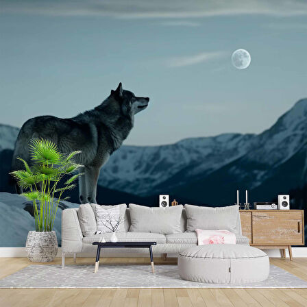 Kış ve Kurt Manzaralı Duvar Kağıdı