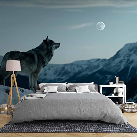 Kış ve Kurt Manzaralı Duvar Kağıdı