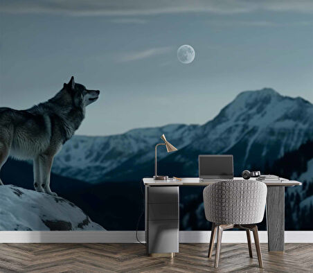 Kış ve Kurt Manzaralı Duvar Kağıdı