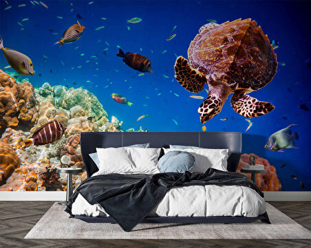 Denizaltı Balık ve Kaplumbağ Manzaralı Duvar Kağıdı