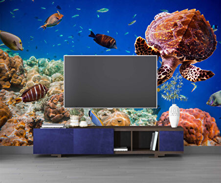 Denizaltı Balık ve Kaplumbağ Manzaralı Duvar Kağıdı