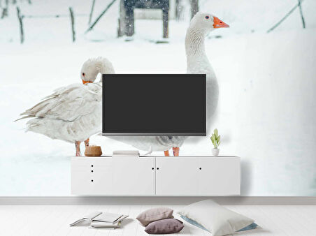 Kar ve Kaz Manzaralı Duvar Kağıdı