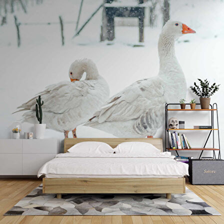 Kar ve Kaz Manzaralı Duvar Kağıdı