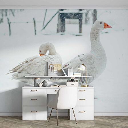 Kar ve Kaz Manzaralı Duvar Kağıdı