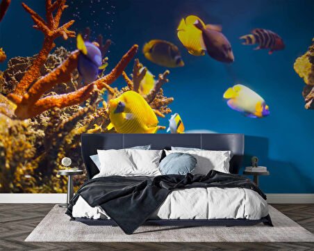 Denizaltı Sarı Japon Balığı Manzaralı Duvar Kağıdı