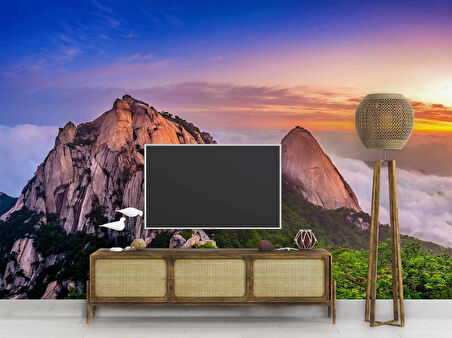 Dağ Gökyüzü ve Orman Manzaralı Duvar Kağıdı