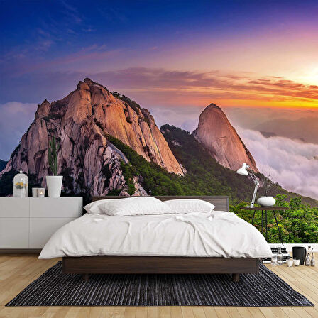 Dağ Gökyüzü ve Orman Manzaralı Duvar Kağıdı