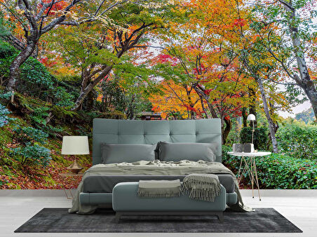 Orman ve Patika Yol Manzaralı Duvar Kağıdı