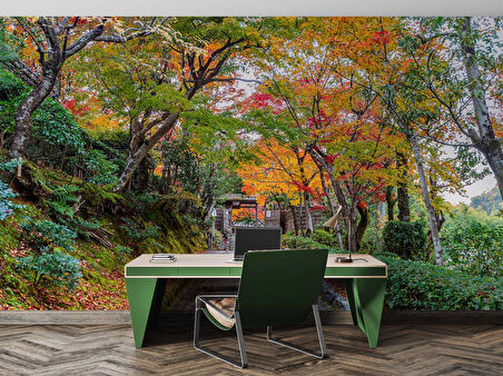 Orman ve Patika Yol Manzaralı Duvar Kağıdı