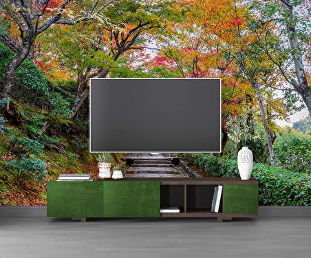 Orman ve Patika Yol Manzaralı Duvar Kağıdı