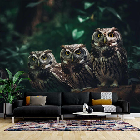 Orman ve Baykuş Manzaralı Duvar Kağıdı