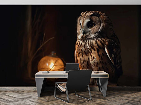 Gece ve Baykuş Manzaralı Duvar Kağıdı