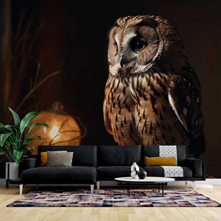 Gece ve Baykuş Manzaralı Duvar Kağıdı