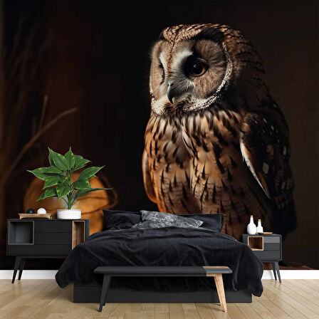 Gece ve Baykuş Manzaralı Duvar Kağıdı