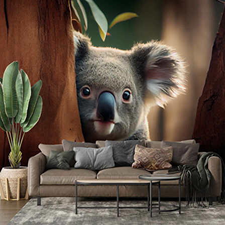 Koala Temalı Duvar Kağıdı
