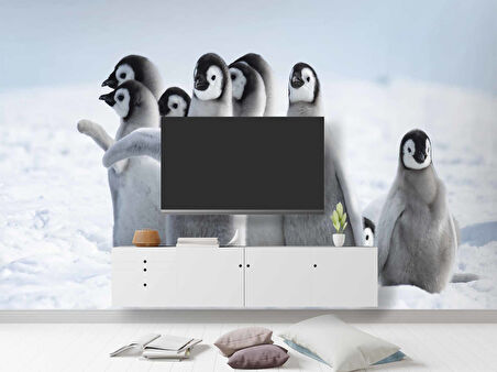 Kutuplar ve Yavru Penguen Manzaralı Duvar Kağıdı