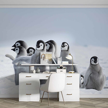 Kutuplar ve Yavru Penguen Manzaralı Duvar Kağıdı