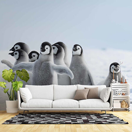 Kutuplar ve Yavru Penguen Manzaralı Duvar Kağıdı