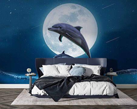 Ay ve Yunus Manzaralı Duvar Kağıdı