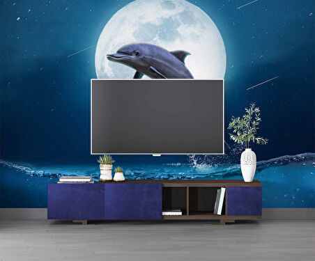 Ay ve Yunus Manzaralı Duvar Kağıdı