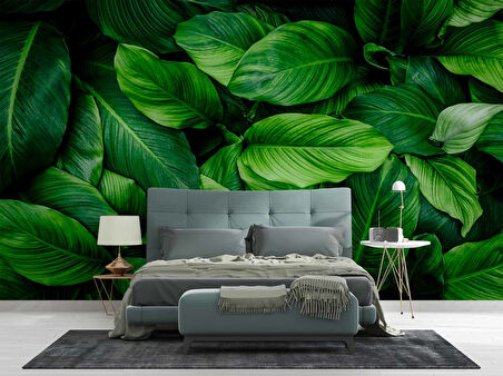 Yeşil Yaprak Arkaplan Temalı Duvar Kağıdı