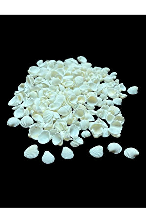 Deniz Kabukları 100 Gr NO-3-CLAMROSE