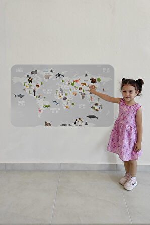 Eğitici Dünya Haritası Dünya Atlası Çocuk Ve Bebek Odası Duvar Sticker-3790