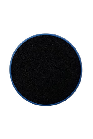 Electrolux Ultimate 800 EP81UB25GG - EP81U25ULT Dikey Süpürge İçin Filtre