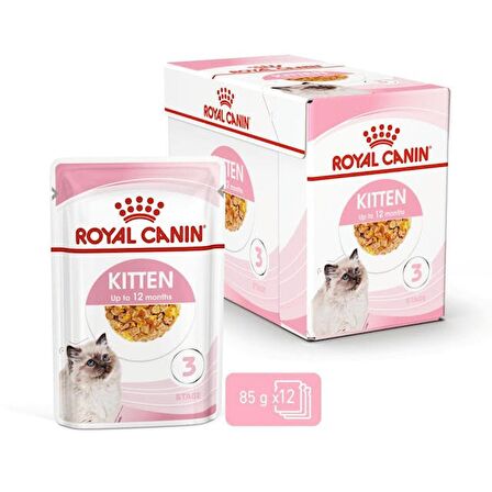 Royal Canin Yavru Kediler için Jöle İçerisnde Yaş Kedi Maması 85g