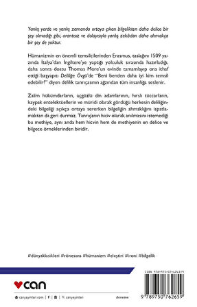 Deliliğe Övgü