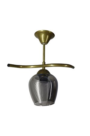 Fuji Eskitme Tekli Füme Camlı Avize | Kaliteli Modern Metal Avize