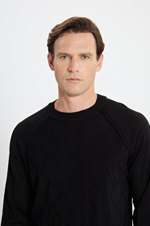 Erkek Siyah Standart Fit Normal Kesim Bisiklet Yaka Jakarlı Triko Kazak