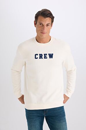 DeFacto Relax Fit Bisiklet Yaka Nakışlı Kalın Sweatshirt D2162AX24AUER98