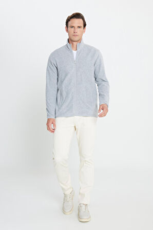 Erkek Gri Anti-pilling Tüylenme Yapmayan Standart Fit Normal Kesim Bato Yaka Sweatshirt Polar Ceket