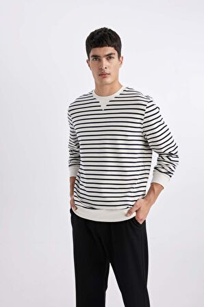 DeFacto Modern Fit Bisiklet Yaka Çizgili Sweatshirt B6498AX24SPWT32