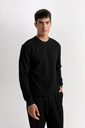 DeFacto Regular Fit Bisiklet Yaka Jakarlı Sweatshirt D5394AX24AUBK27