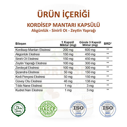 Kordisep Kapsül (CORDYCEPS CAPSULE)