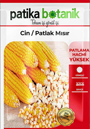 50 Adet Cin Mısır Tohumu 