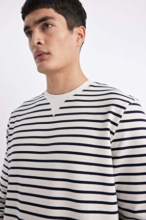 DeFacto Modern Fit Bisiklet Yaka Çizgili Sweatshirt B6498AX24SPWT32