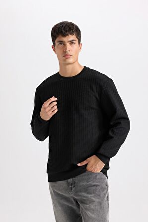 DeFacto Regular Fit Bisiklet Yaka Jakarlı Basic Düz Sweatshirt D5391AX24AUBK27