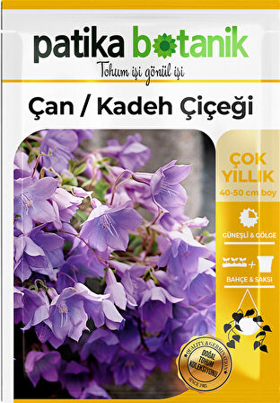 100 Adet Çan Kadeh (Campanula L.) Çiçek Tohumu 