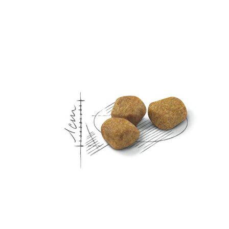 Royal Canin Indoor27 7 Yaş ve Üzeri Kuru Kedi Maması 1.5kg