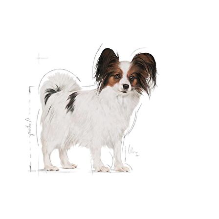 Royal Canin Çok Küçük Irklar için Kuru Köpek Maması 1.5Kg