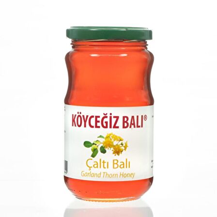 Köyceğiz Balı Çaltı Balı 450 G Cam Kavanoz