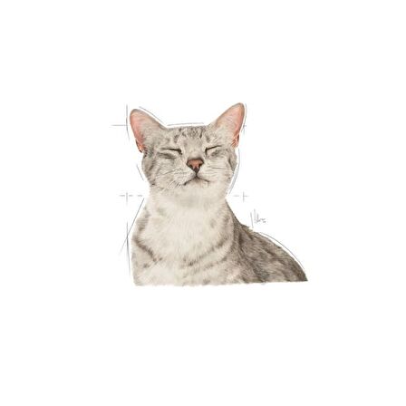 Royal Canin Sensory Duyusal His için Sos İçerisinde Yaş Kedi Maması 85g