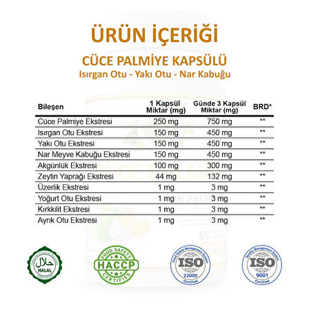 Cüce Palmiye Kapsül (SAW PALMETTO CAPSULE)