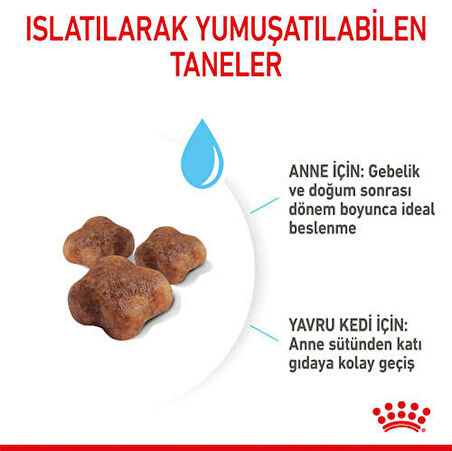 Royal Canin Mother&Baby Cat Hamile Ve Emziren Kedi Mama 400 Gr