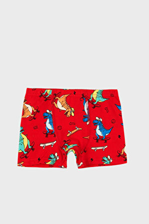 Lela Erkek Çocuk Boxer 6651005DINO